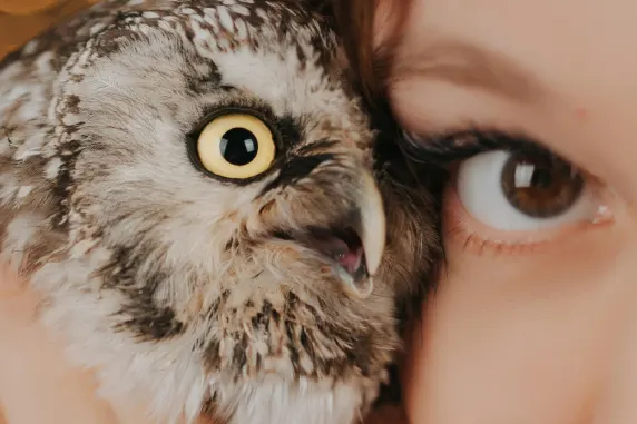 VegasWild Casino Tugi